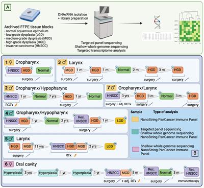 Molecular characterization of the evolution of premalignant lesions in the upper aerodigestive tract